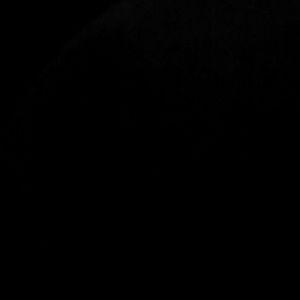 Meet your Posher, Isaiah